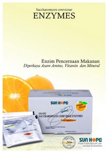 Obat Herbal Asam Lambung Tinggi